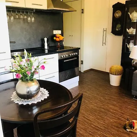 Krumlove Apartment Cesky Krumlov